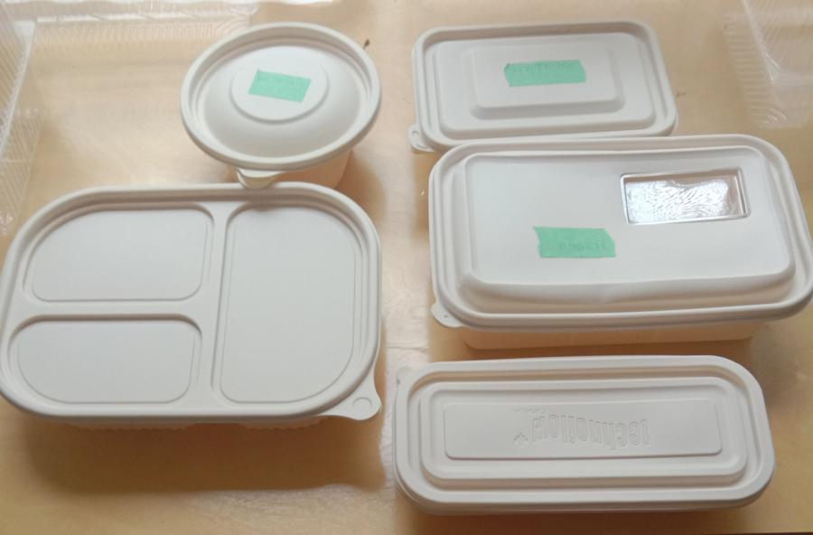 Biodegradable containers